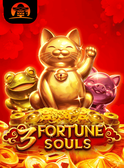 বিপিএল ক্রিকেট